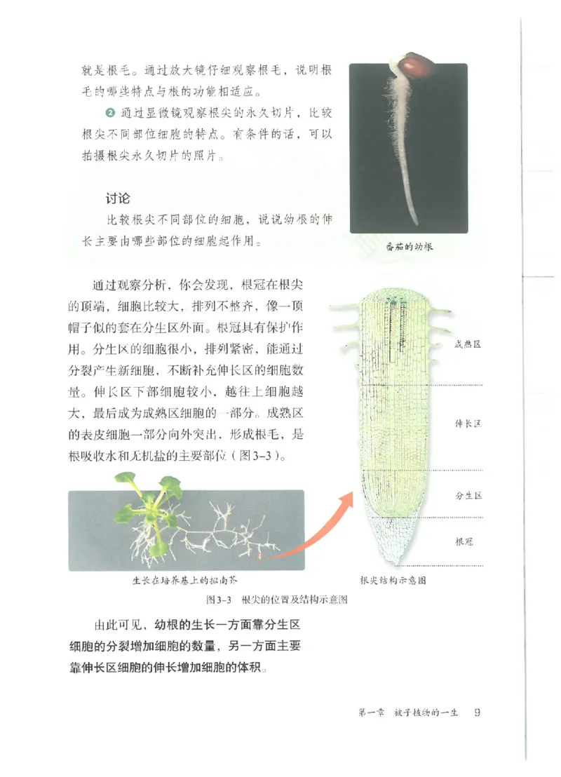 25春-人教版7年级生物下册电子课本_4-教培资料-26年最新资料-同步更新_初中高中教资_03科三专项（进去保存报考的学科即可）_02科三专项（笔记真题思维导图教学设计版本二）