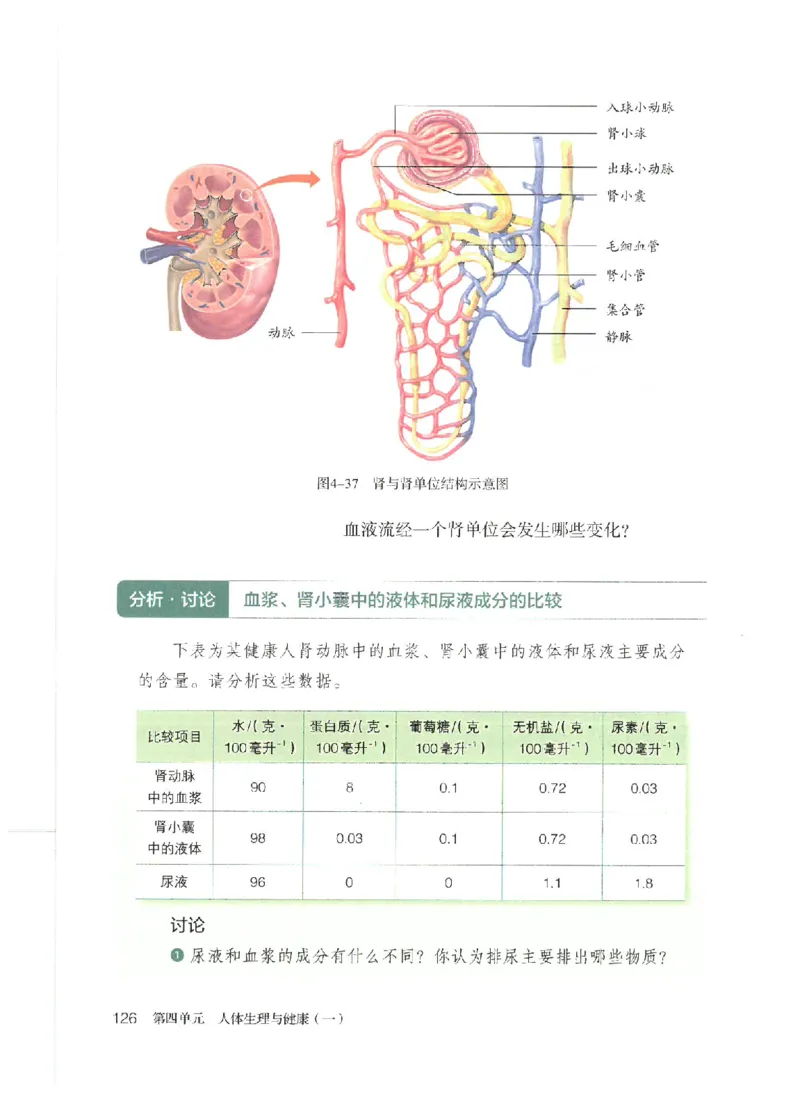 25春-人教版7年级生物下册电子课本_4-教培资料-26年最新资料-同步更新_初中高中教资_03科三专项（进去保存报考的学科即可）_02科三专项（笔记真题思维导图教学设计版本二）