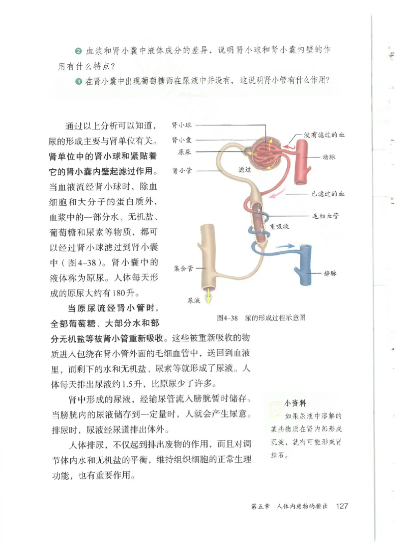 25春-人教版7年级生物下册电子课本_4-教培资料-26年最新资料-同步更新_初中高中教资_03科三专项（进去保存报考的学科即可）_02科三专项（笔记真题思维导图教学设计版本二）