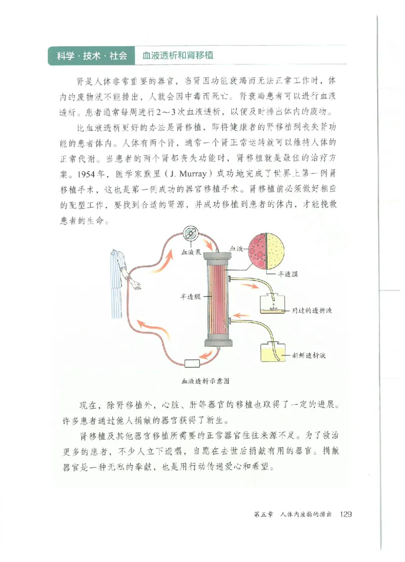 25春-人教版7年级生物下册电子课本_4-教培资料-26年最新资料-同步更新_初中高中教资_03科三专项（进去保存报考的学科即可）_02科三专项（笔记真题思维导图教学设计版本二）