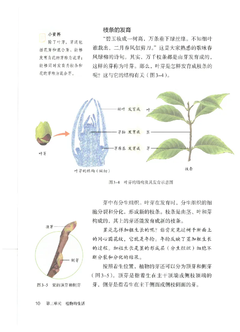 25春-人教版7年级生物下册电子课本_4-教培资料-26年最新资料-同步更新_初中高中教资_03科三专项（进去保存报考的学科即可）_02科三专项（笔记真题思维导图教学设计版本二）