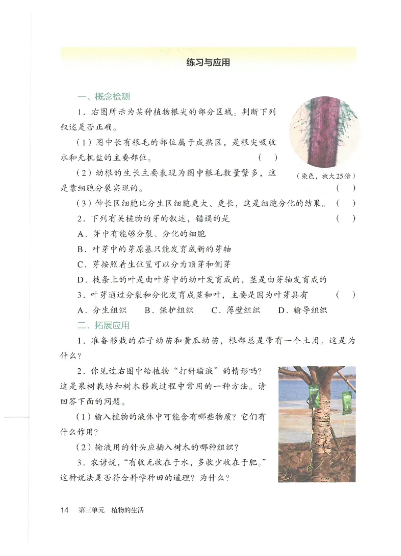 25春-人教版7年级生物下册电子课本_4-教培资料-26年最新资料-同步更新_初中高中教资_03科三专项（进去保存报考的学科即可）_02科三专项（笔记真题思维导图教学设计版本二）