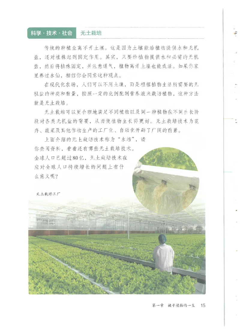 25春-人教版7年级生物下册电子课本_4-教培资料-26年最新资料-同步更新_初中高中教资_03科三专项（进去保存报考的学科即可）_02科三专项（笔记真题思维导图教学设计版本二）