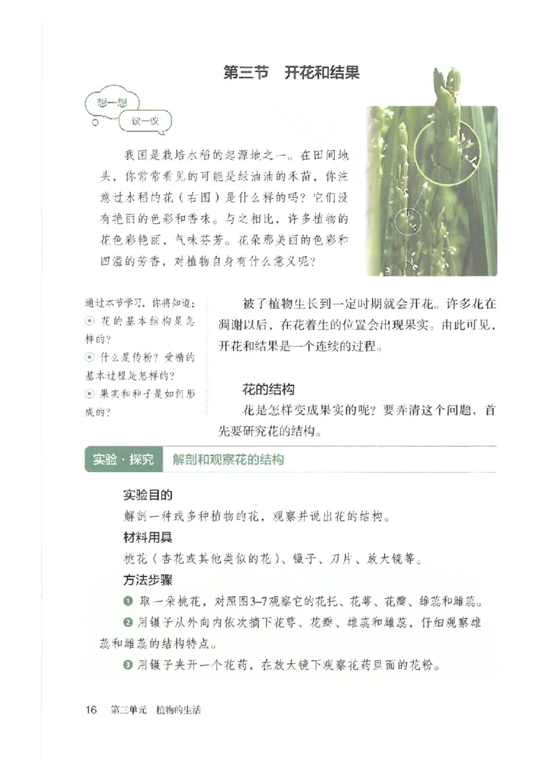 25春-人教版7年级生物下册电子课本_4-教培资料-26年最新资料-同步更新_初中高中教资_03科三专项（进去保存报考的学科即可）_02科三专项（笔记真题思维导图教学设计版本二）