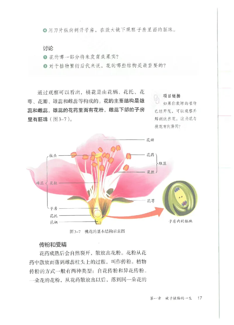 25春-人教版7年级生物下册电子课本_4-教培资料-26年最新资料-同步更新_初中高中教资_03科三专项（进去保存报考的学科即可）_02科三专项（笔记真题思维导图教学设计版本二）