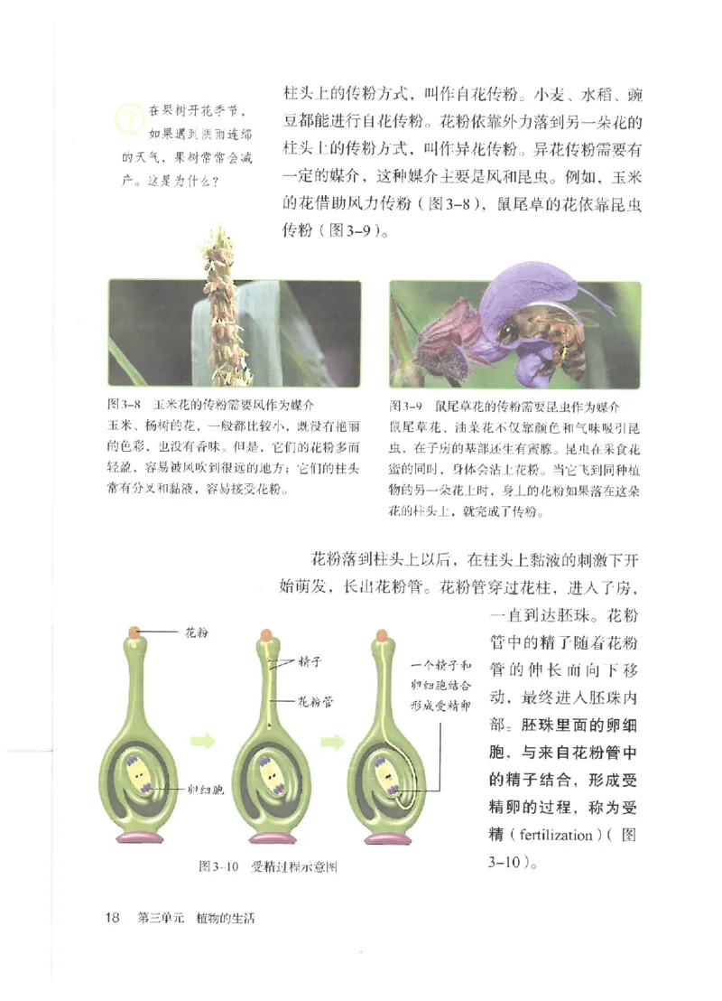 25春-人教版7年级生物下册电子课本_4-教培资料-26年最新资料-同步更新_初中高中教资_03科三专项（进去保存报考的学科即可）_02科三专项（笔记真题思维导图教学设计版本二）