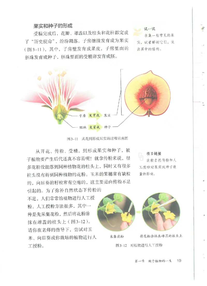 25春-人教版7年级生物下册电子课本_4-教培资料-26年最新资料-同步更新_初中高中教资_03科三专项（进去保存报考的学科即可）_02科三专项（笔记真题思维导图教学设计版本二）