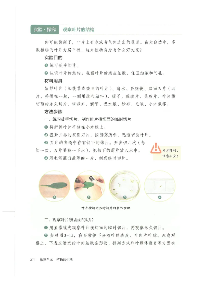 25春-人教版7年级生物下册电子课本_4-教培资料-26年最新资料-同步更新_初中高中教资_03科三专项（进去保存报考的学科即可）_02科三专项（笔记真题思维导图教学设计版本二）