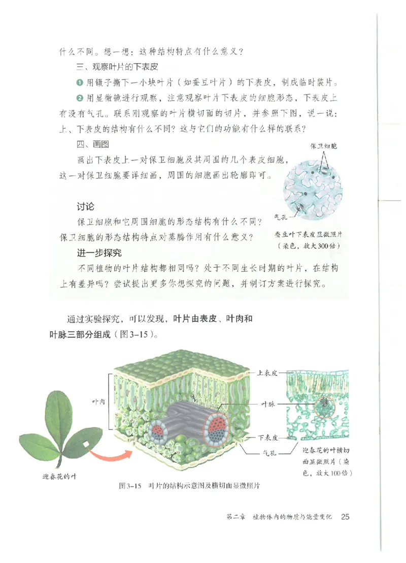 25春-人教版7年级生物下册电子课本_4-教培资料-26年最新资料-同步更新_初中高中教资_03科三专项（进去保存报考的学科即可）_02科三专项（笔记真题思维导图教学设计版本二）