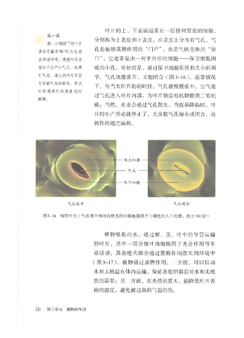 25春-人教版7年级生物下册电子课本_4-教培资料-26年最新资料-同步更新_初中高中教资_03科三专项（进去保存报考的学科即可）_02科三专项（笔记真题思维导图教学设计版本二）