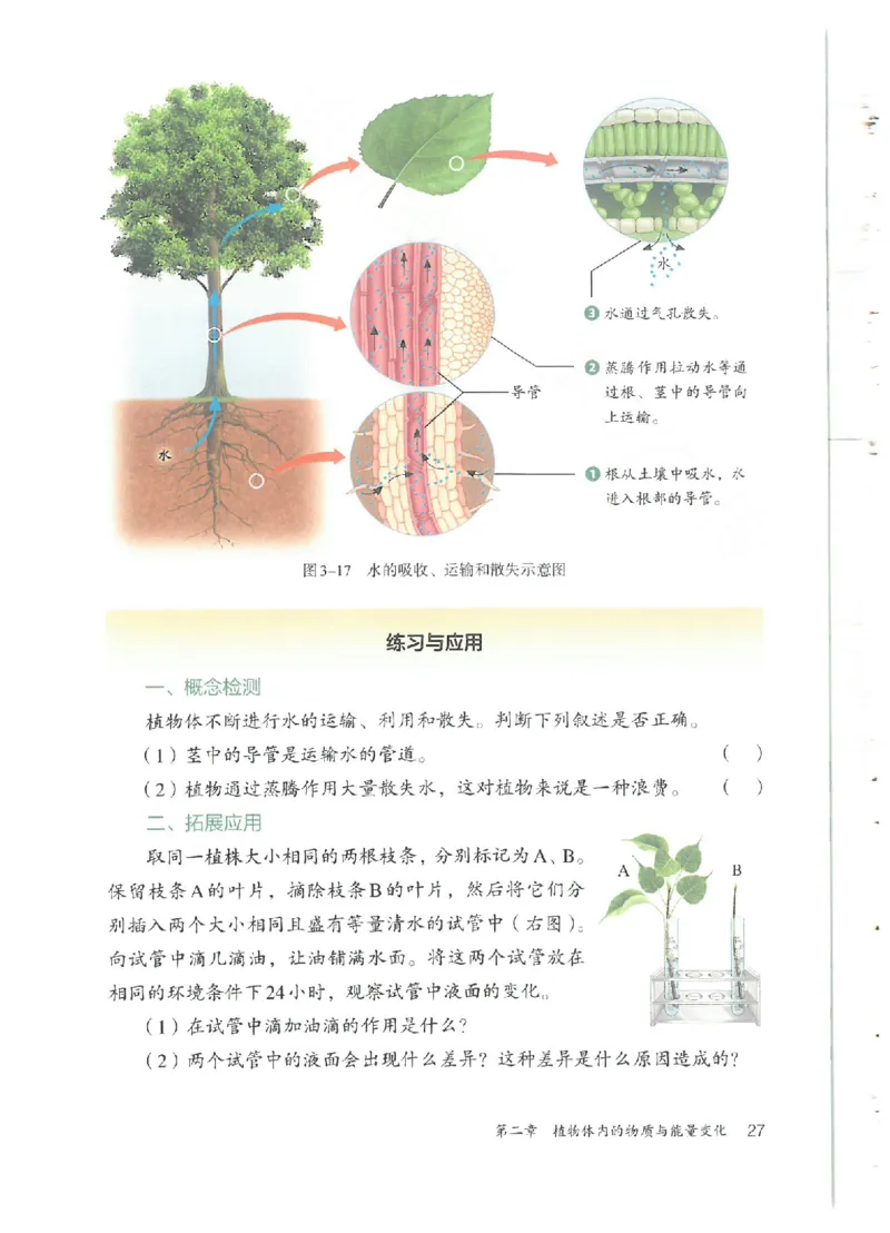 25春-人教版7年级生物下册电子课本_4-教培资料-26年最新资料-同步更新_初中高中教资_03科三专项（进去保存报考的学科即可）_02科三专项（笔记真题思维导图教学设计版本二）