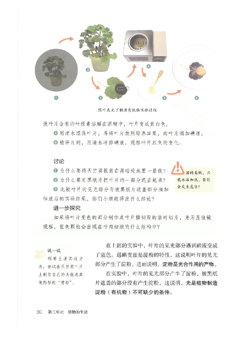 25春-人教版7年级生物下册电子课本_4-教培资料-26年最新资料-同步更新_初中高中教资_03科三专项（进去保存报考的学科即可）_02科三专项（笔记真题思维导图教学设计版本二）