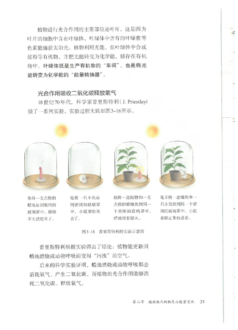 25春-人教版7年级生物下册电子课本_4-教培资料-26年最新资料-同步更新_初中高中教资_03科三专项（进去保存报考的学科即可）_02科三专项（笔记真题思维导图教学设计版本二）