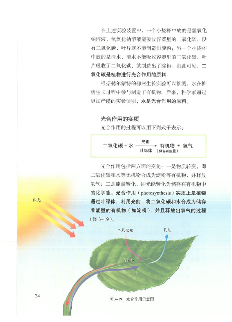 25春-人教版7年级生物下册电子课本_4-教培资料-26年最新资料-同步更新_初中高中教资_03科三专项（进去保存报考的学科即可）_02科三专项（笔记真题思维导图教学设计版本二）