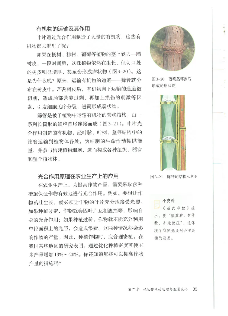 25春-人教版7年级生物下册电子课本_4-教培资料-26年最新资料-同步更新_初中高中教资_03科三专项（进去保存报考的学科即可）_02科三专项（笔记真题思维导图教学设计版本二）