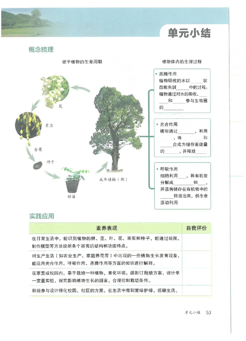 25春-人教版7年级生物下册电子课本_4-教培资料-26年最新资料-同步更新_初中高中教资_03科三专项（进去保存报考的学科即可）_02科三专项（笔记真题思维导图教学设计版本二）