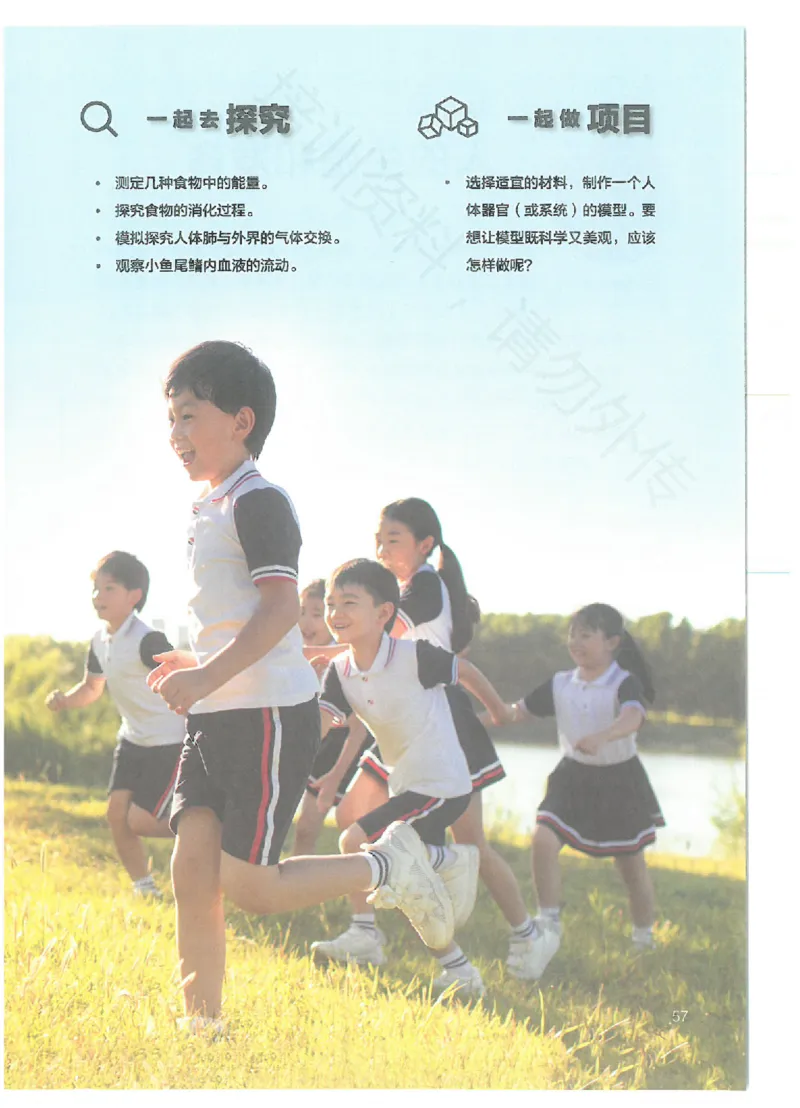 25春-人教版7年级生物下册电子课本_4-教培资料-26年最新资料-同步更新_初中高中教资_03科三专项（进去保存报考的学科即可）_02科三专项（笔记真题思维导图教学设计版本二）