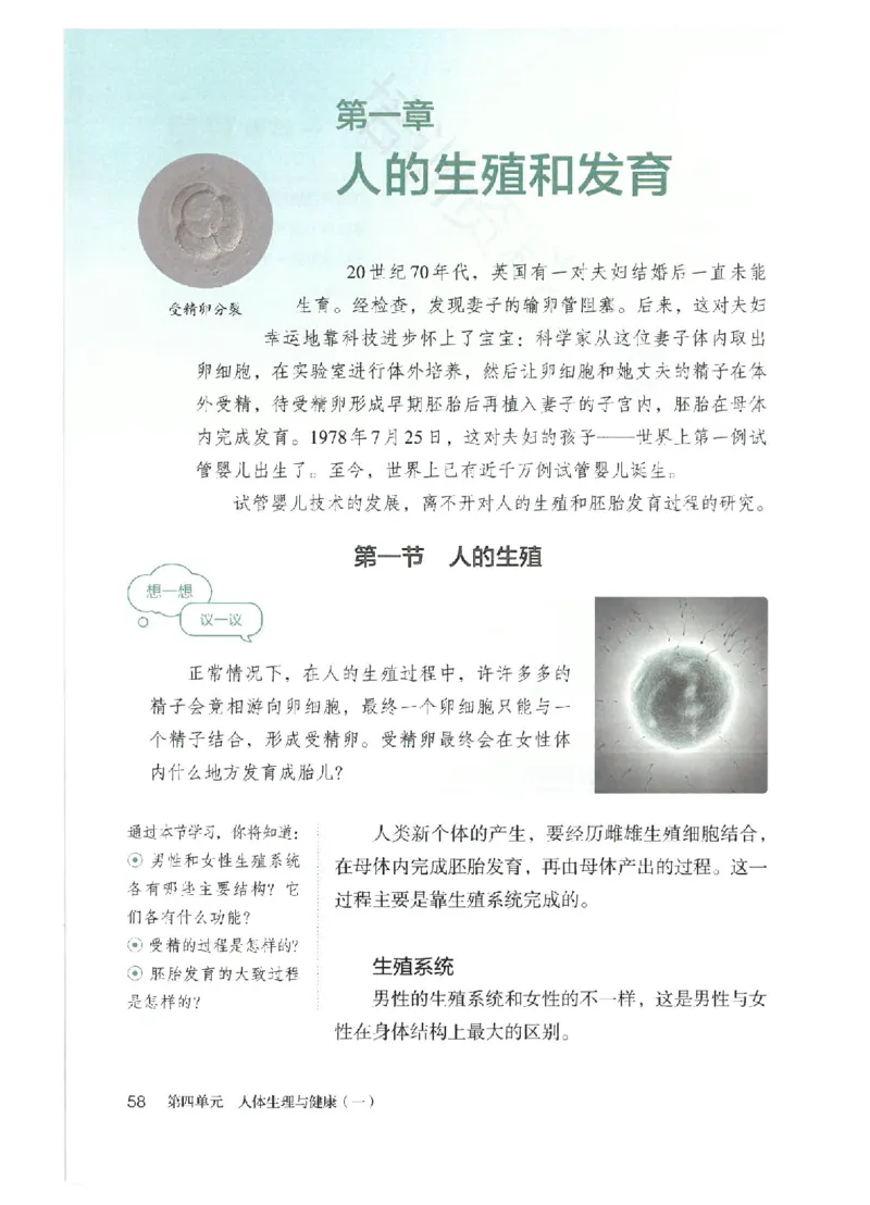 25春-人教版7年级生物下册电子课本_4-教培资料-26年最新资料-同步更新_初中高中教资_03科三专项（进去保存报考的学科即可）_02科三专项（笔记真题思维导图教学设计版本二）