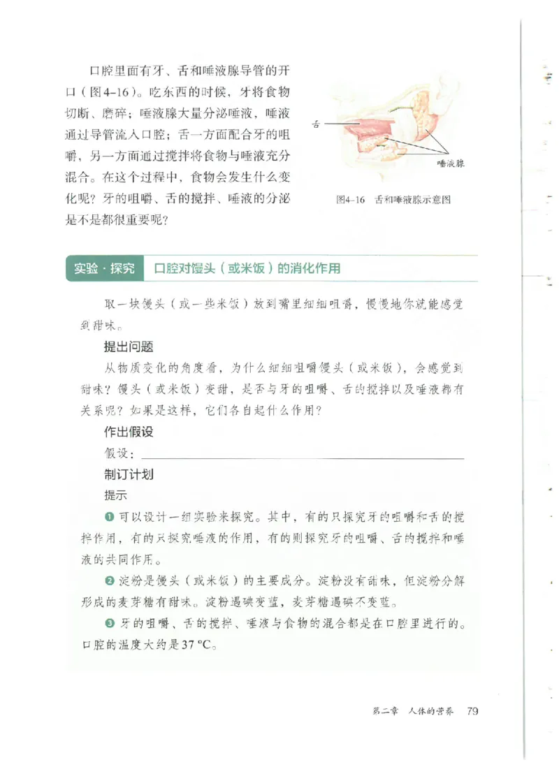 25春-人教版7年级生物下册电子课本_4-教培资料-26年最新资料-同步更新_初中高中教资_03科三专项（进去保存报考的学科即可）_02科三专项（笔记真题思维导图教学设计版本二）