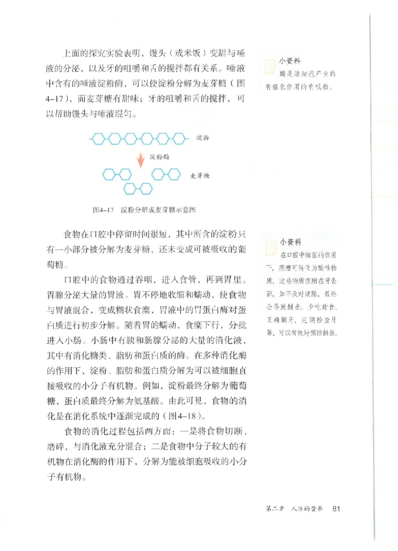 25春-人教版7年级生物下册电子课本_4-教培资料-26年最新资料-同步更新_初中高中教资_03科三专项（进去保存报考的学科即可）_02科三专项（笔记真题思维导图教学设计版本二）