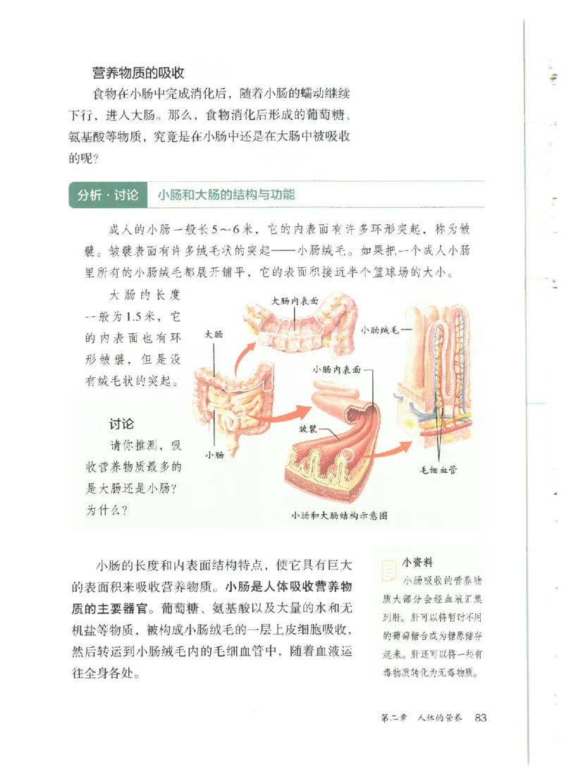 25春-人教版7年级生物下册电子课本_4-教培资料-26年最新资料-同步更新_初中高中教资_03科三专项（进去保存报考的学科即可）_02科三专项（笔记真题思维导图教学设计版本二）