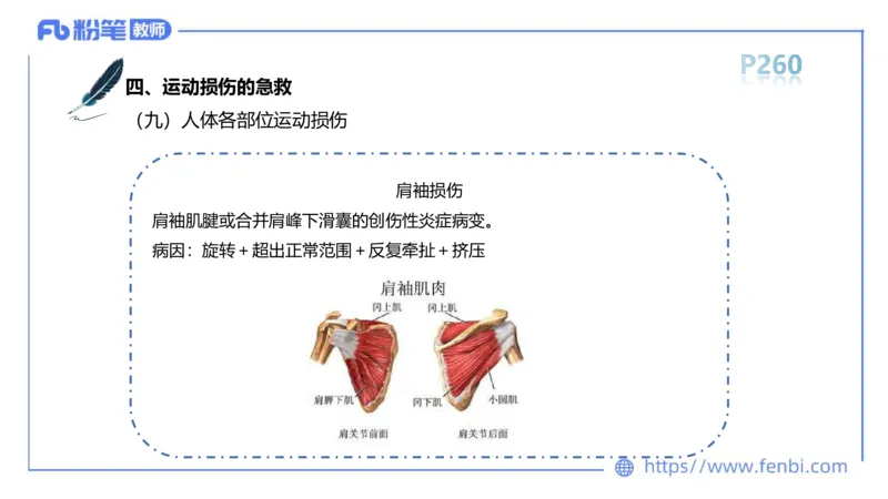 6.20-中学科目三理论精讲15-体育保健学加课-岳博_4-教培资料-26年最新资料-同步更新_科一科二电子资料合集中小幼（笔记真题知识点汇总等）文件多，按需保存_01西米合集_上课课件