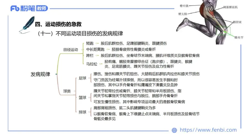 6.20-中学科目三理论精讲15-体育保健学加课-岳博_4-教培资料-26年最新资料-同步更新_科一科二电子资料合集中小幼（笔记真题知识点汇总等）文件多，按需保存_01西米合集_上课课件