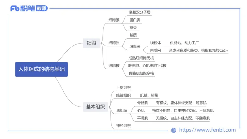 6.20-中学科目三理论精讲15-体育保健学加课-岳博_4-教培资料-26年最新资料-同步更新_科一科二电子资料合集中小幼（笔记真题知识点汇总等）文件多，按需保存_01西米合集_上课课件