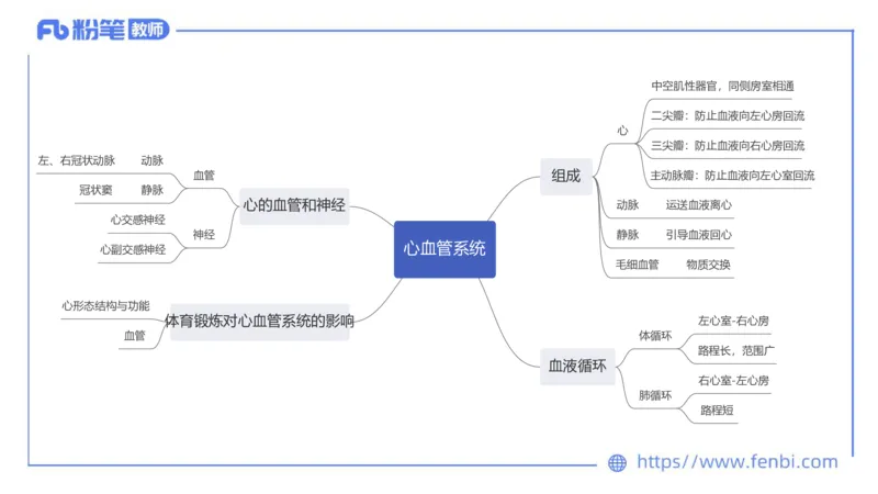 6.20-中学科目三理论精讲15-体育保健学加课-岳博_4-教培资料-26年最新资料-同步更新_科一科二电子资料合集中小幼（笔记真题知识点汇总等）文件多，按需保存_01西米合集_上课课件