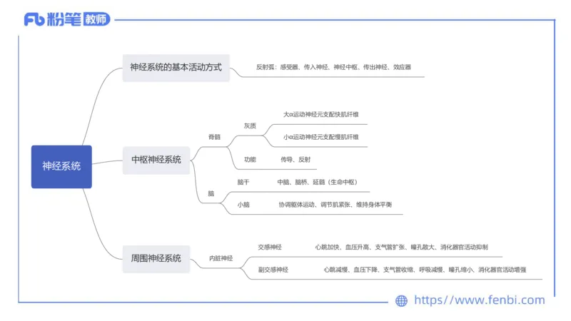 6.20-中学科目三理论精讲15-体育保健学加课-岳博_4-教培资料-26年最新资料-同步更新_科一科二电子资料合集中小幼（笔记真题知识点汇总等）文件多，按需保存_01西米合集_上课课件
