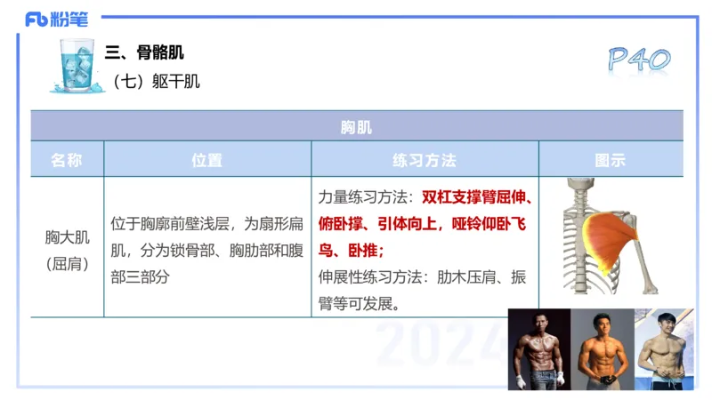 25上理论精讲&mdash;运动解剖学4-陈晶晶_4-教培资料-26年最新资料-同步更新_初中高中教资_03科三专项（进去保存报考的学科即可）_初中_初中体育-通关资料包_3.课程FB系统班课程