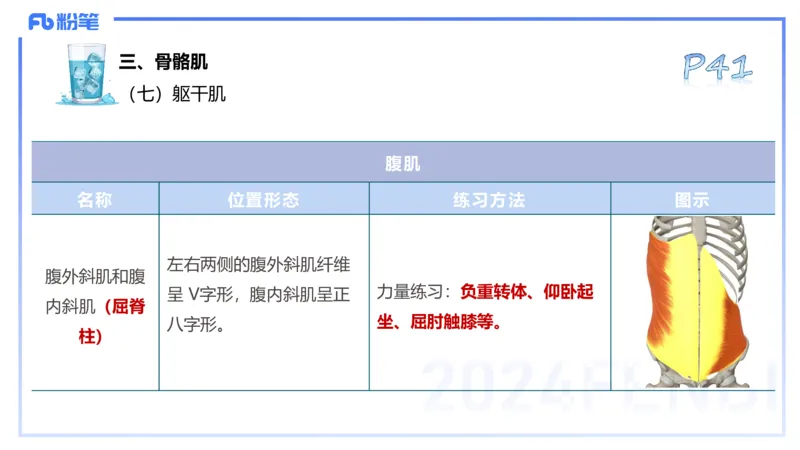 25上理论精讲&mdash;运动解剖学4-陈晶晶_4-教培资料-26年最新资料-同步更新_初中高中教资_03科三专项（进去保存报考的学科即可）_初中_初中体育-通关资料包_3.课程FB系统班课程
