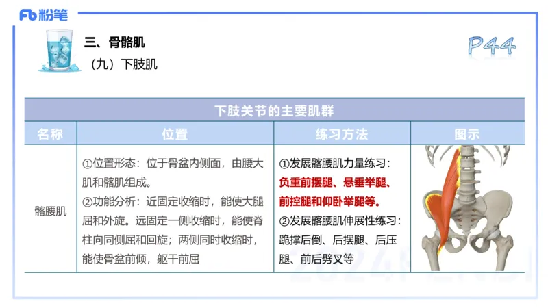 25上理论精讲&mdash;运动解剖学4-陈晶晶_4-教培资料-26年最新资料-同步更新_初中高中教资_03科三专项（进去保存报考的学科即可）_初中_初中体育-通关资料包_3.课程FB系统班课程