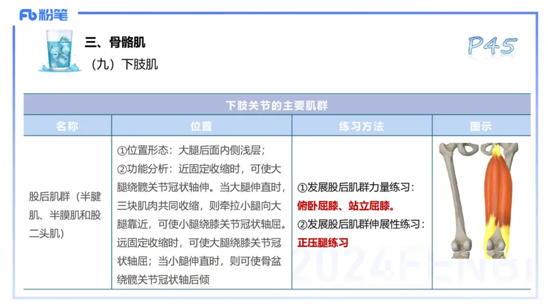 25上理论精讲&mdash;运动解剖学4-陈晶晶_4-教培资料-26年最新资料-同步更新_初中高中教资_03科三专项（进去保存报考的学科即可）_初中_初中体育-通关资料包_3.课程FB系统班课程