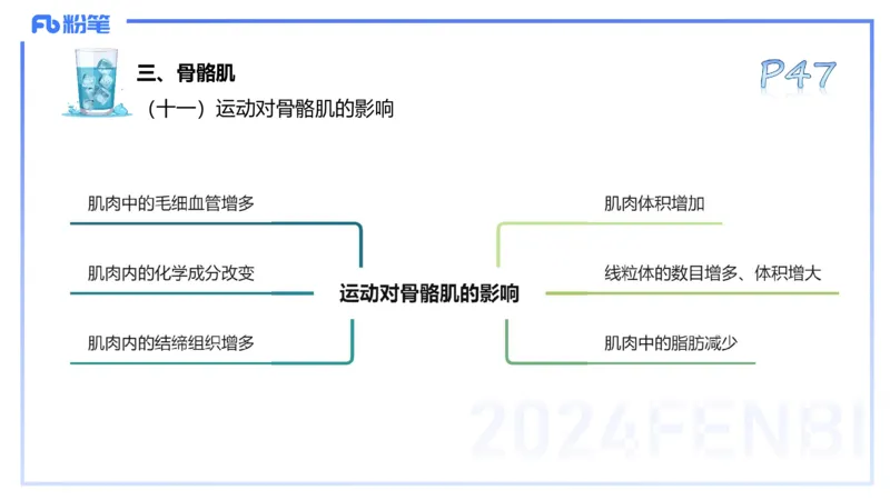 25上理论精讲&mdash;运动解剖学4-陈晶晶_4-教培资料-26年最新资料-同步更新_初中高中教资_03科三专项（进去保存报考的学科即可）_初中_初中体育-通关资料包_3.课程FB系统班课程