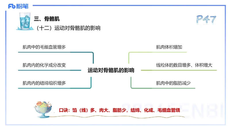 25上理论精讲&mdash;运动解剖学4-陈晶晶_4-教培资料-26年最新资料-同步更新_初中高中教资_03科三专项（进去保存报考的学科即可）_初中_初中体育-通关资料包_3.课程FB系统班课程