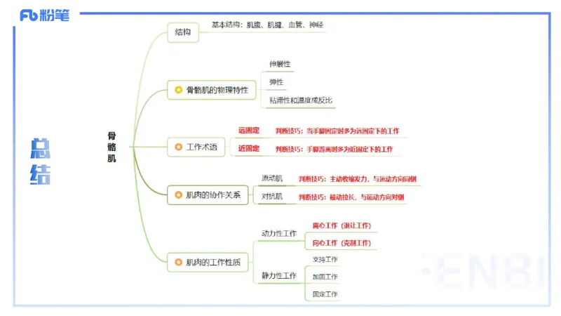 25上理论精讲&mdash;运动解剖学4-陈晶晶_4-教培资料-26年最新资料-同步更新_初中高中教资_03科三专项（进去保存报考的学科即可）_初中_初中体育-通关资料包_3.课程FB系统班课程