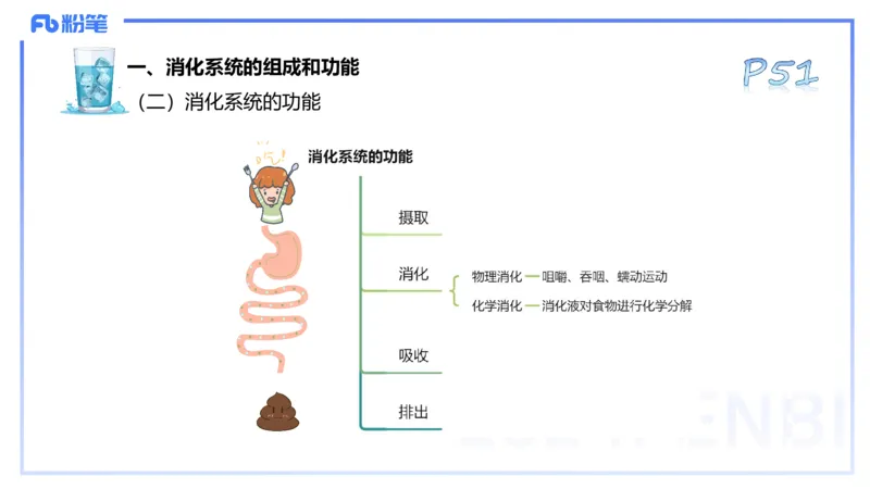 25上理论精讲&mdash;运动解剖学4-陈晶晶_4-教培资料-26年最新资料-同步更新_初中高中教资_03科三专项（进去保存报考的学科即可）_初中_初中体育-通关资料包_3.课程FB系统班课程
