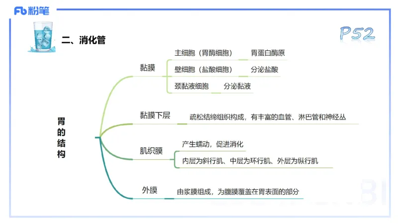 25上理论精讲&mdash;运动解剖学4-陈晶晶_4-教培资料-26年最新资料-同步更新_初中高中教资_03科三专项（进去保存报考的学科即可）_初中_初中体育-通关资料包_3.课程FB系统班课程