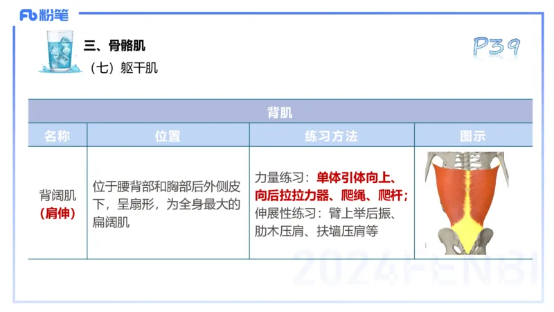 25上理论精讲&mdash;运动解剖学4-陈晶晶_4-教培资料-26年最新资料-同步更新_初中高中教资_03科三专项（进去保存报考的学科即可）_初中_初中体育-通关资料包_3.课程FB系统班课程