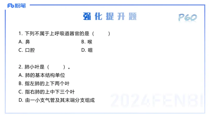 25上理论精讲&mdash;运动解剖学4-陈晶晶_4-教培资料-26年最新资料-同步更新_初中高中教资_03科三专项（进去保存报考的学科即可）_初中_初中体育-通关资料包_3.课程FB系统班课程