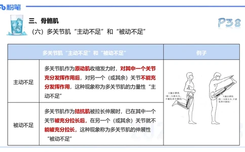 25上理论精讲&mdash;运动解剖学4-陈晶晶_4-教培资料-26年最新资料-同步更新_初中高中教资_03科三专项（进去保存报考的学科即可）_初中_初中体育-通关资料包_3.课程FB系统班课程