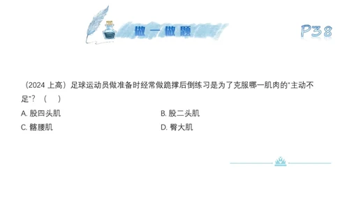 25上理论精讲&mdash;运动解剖学4-陈晶晶_4-教培资料-26年最新资料-同步更新_初中高中教资_03科三专项（进去保存报考的学科即可）_初中_初中体育-通关资料包_3.课程FB系统班课程