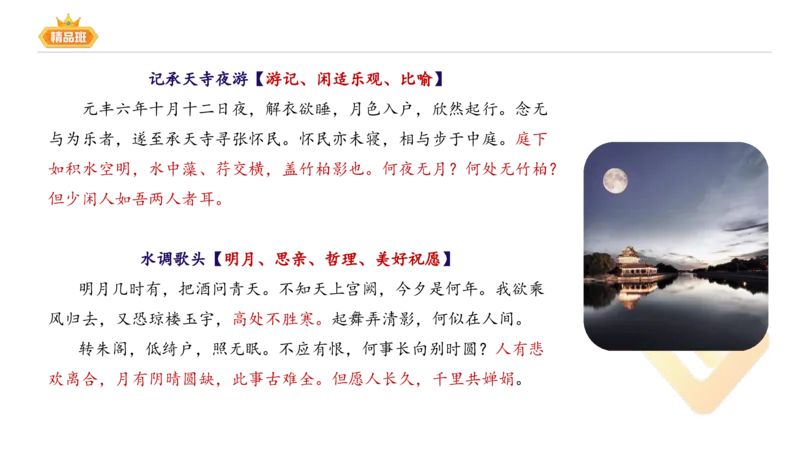 24下-教资系统班-中外文学6-毕小象_4-教培资料-26年最新资料-同步更新_初中高中教资_03科三专项（进去保存报考的学科即可）_01科目三FB网课、三色速记手册、知识点导图等推荐
