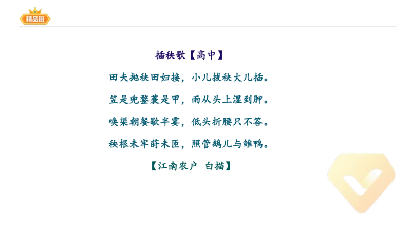 24下-教资系统班-中外文学6-毕小象_4-教培资料-26年最新资料-同步更新_初中高中教资_03科三专项（进去保存报考的学科即可）_01科目三FB网课、三色速记手册、知识点导图等推荐