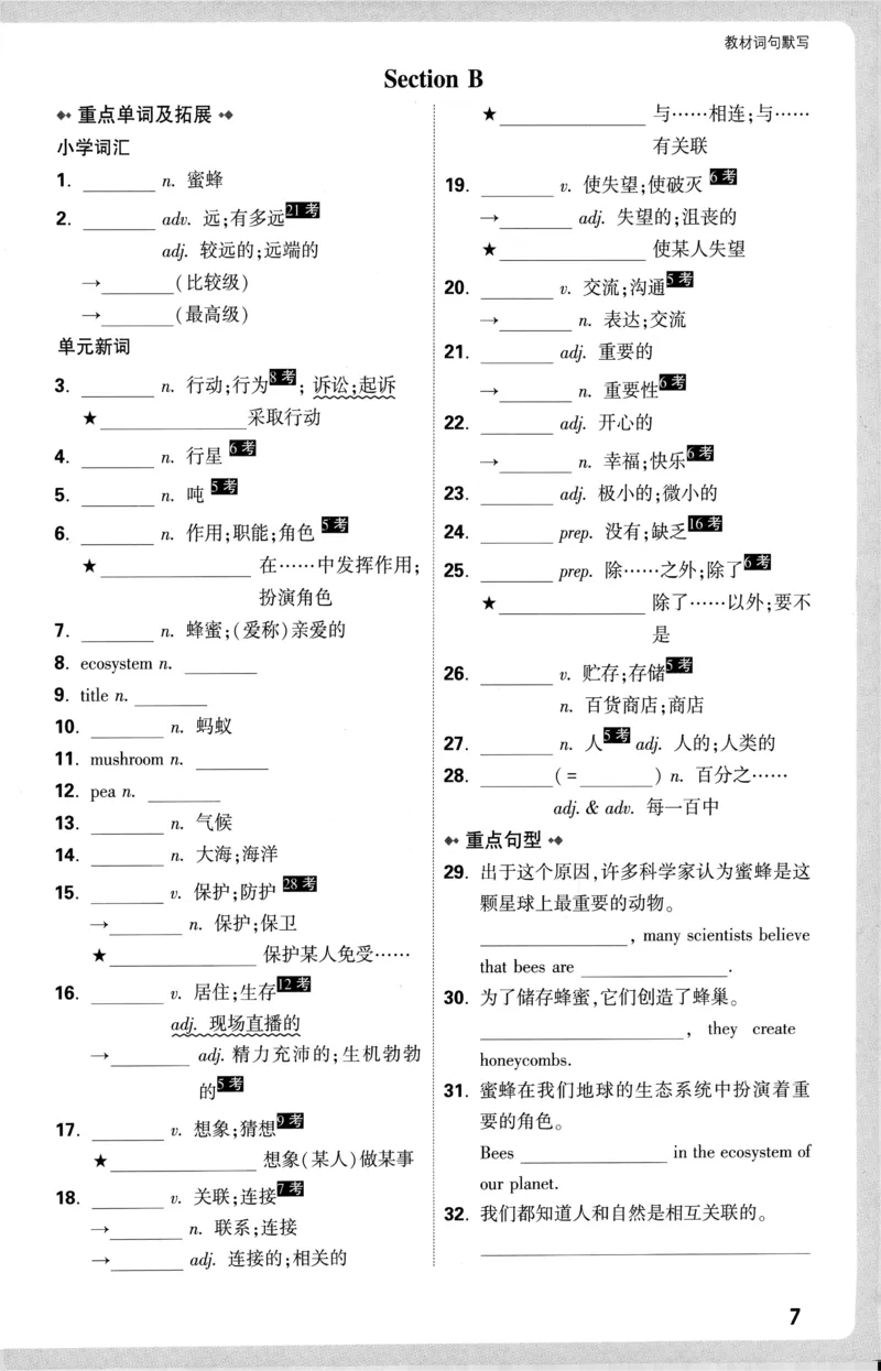 2025《大小卷&bull;英语教材词句默写》8上(RJ)_2026万唯系列预习复习_2026版初中《万唯大小卷》8年级上册（全科多版本）_2026版初中《万唯大小卷》8年级上册（英语）（人教）