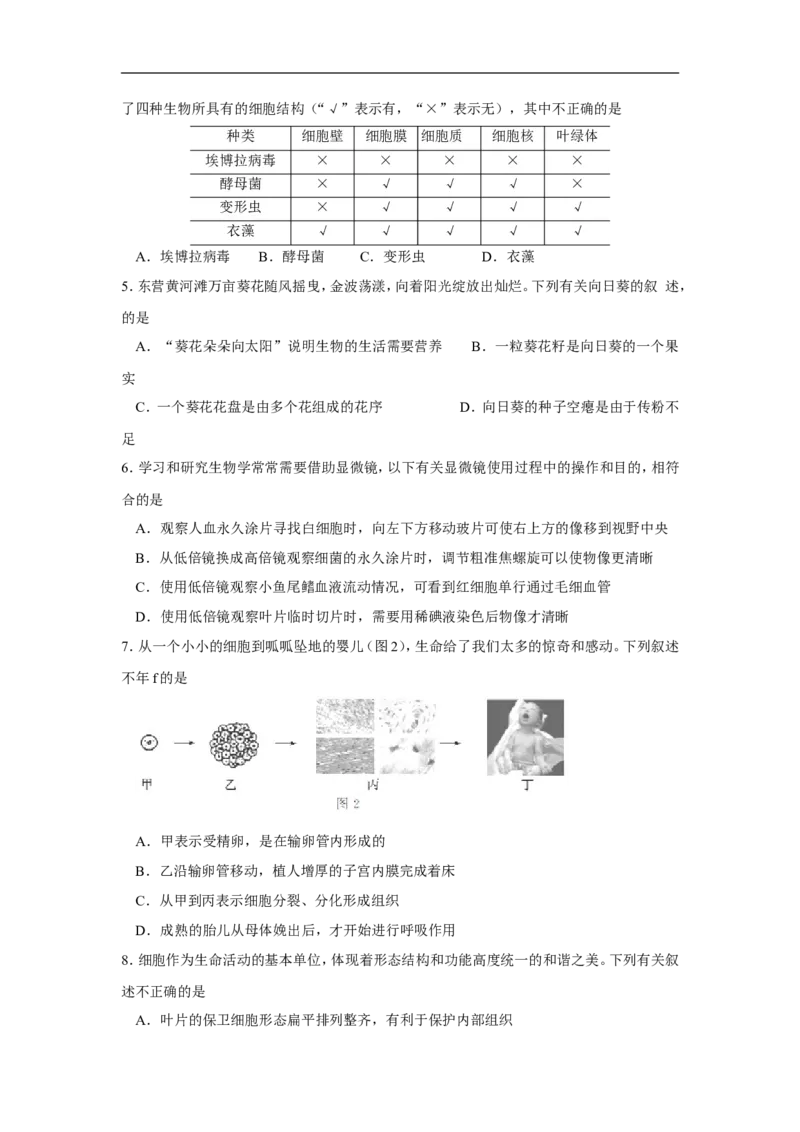 2015年山东省东营市中考生物试题(word版含答案)_中考真题_8.生物中考真题2015-2024年_地区卷_山东省_东营中考生物09-22