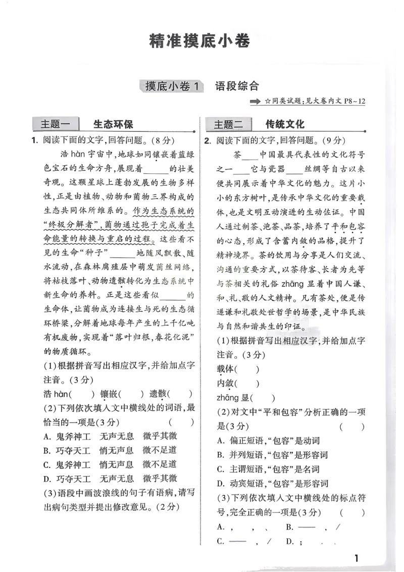 2026《中考真题分类与新考法》语文精准摸底小卷_2026万唯系列预习复习_2026版初中《万唯》中考真题分类与新考法（语数外物历道生）