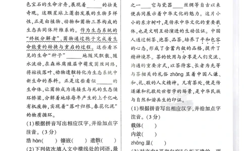 2026《中考真题分类与新考法》语文精准摸底小卷_2026万唯系列预习复习_2026版初中《万唯》中考真题分类与新考法（语数外物历道生）