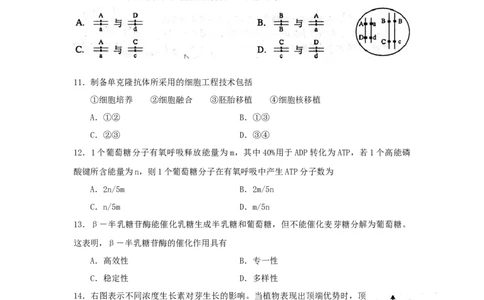 2008年高考生物试卷（上海）（空白卷）_1.高考2025全国各省真题+答案_01.2008-2024全国高考真题（按省份分类）_31.上海_2008-2022&middot;（上海）生物高考真题